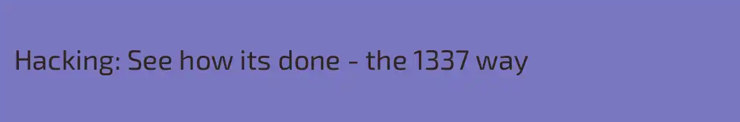 Hacking: See how its done - the 1337 way